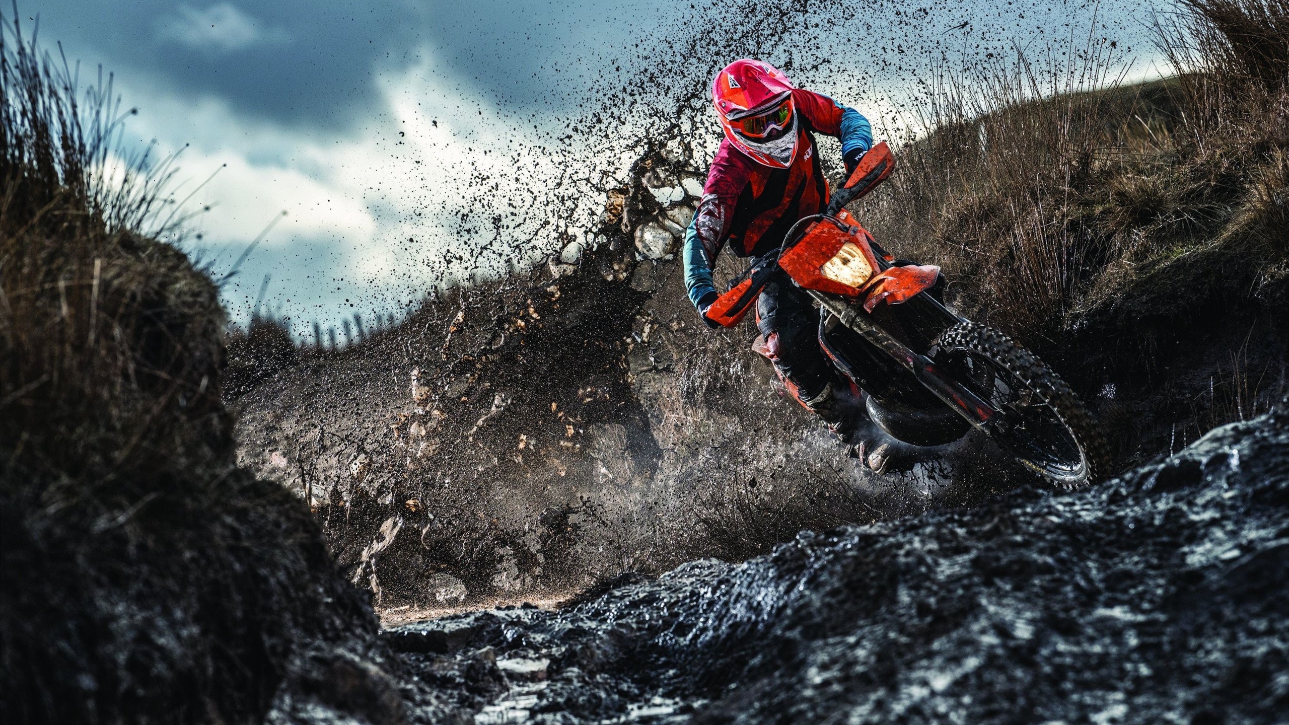 开云中国官网-国家马术队创新训练模式，力争国际大赛金牌，马术国家队教练