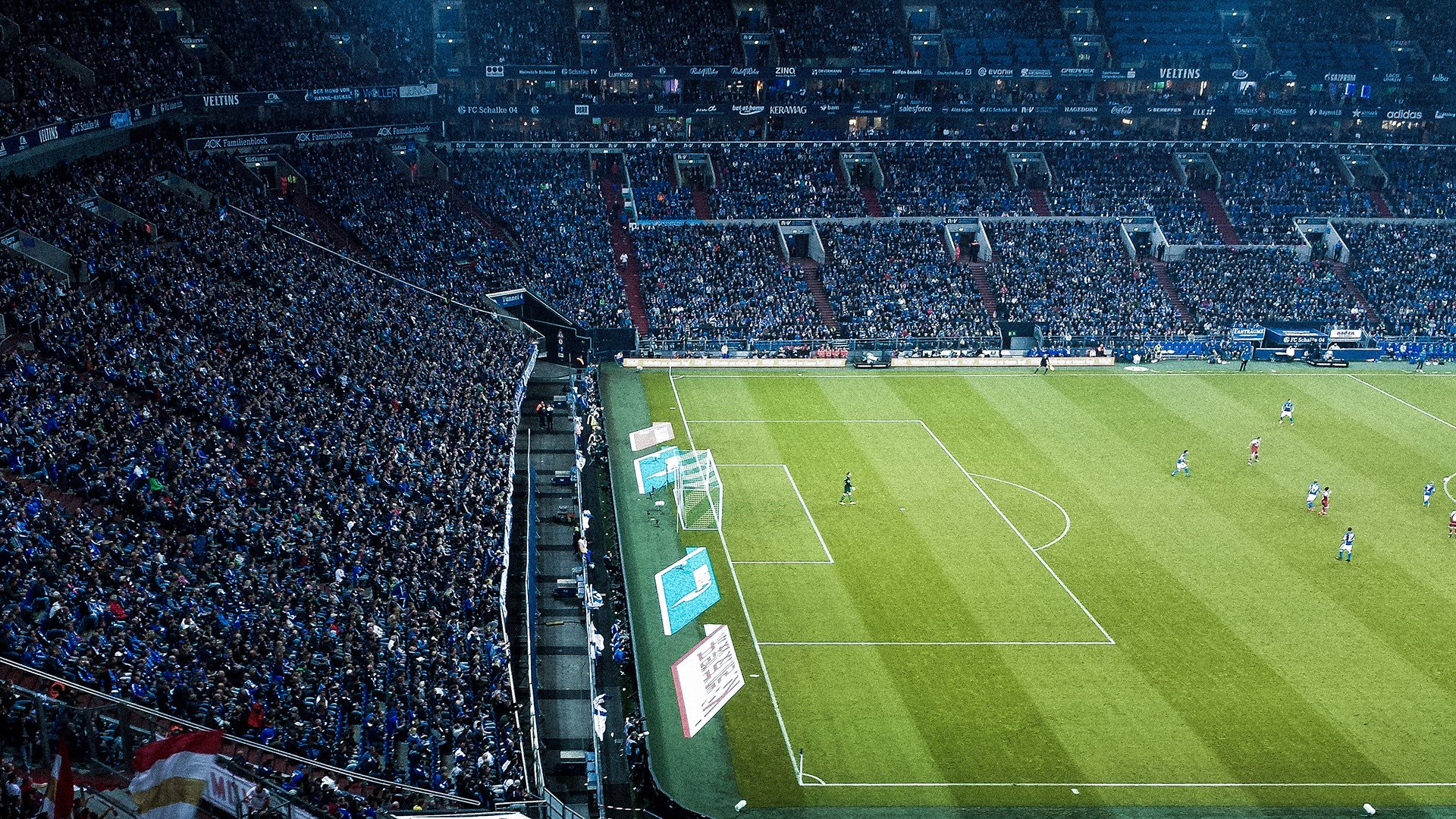 青少年“绿色训练”实践在青海成功试点，环保理念深入人心，青少年绿色行动